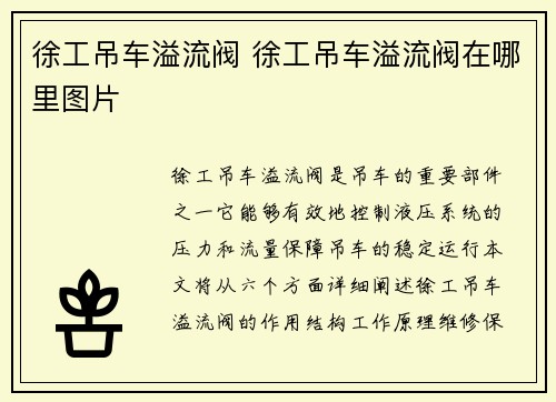 徐工吊车溢流阀 徐工吊车溢流阀在哪里图片 徐工吊车溢流阀 徐工吊车溢流阀在哪里图片