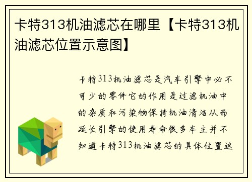 卡特313机油滤芯在哪里【卡特313机油滤芯位置示意图】 卡特313机油滤芯在哪里【卡特313机油滤芯位置示意图】