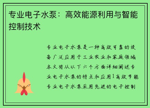 专业电子水泵:高效能源利用与智能控制技术 专业电子水泵:高效能源利用与智能控制技术